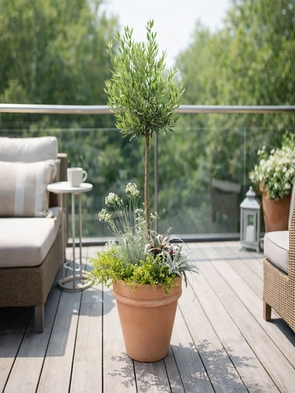 Lugosi Tree Design Terasz Kompozíció